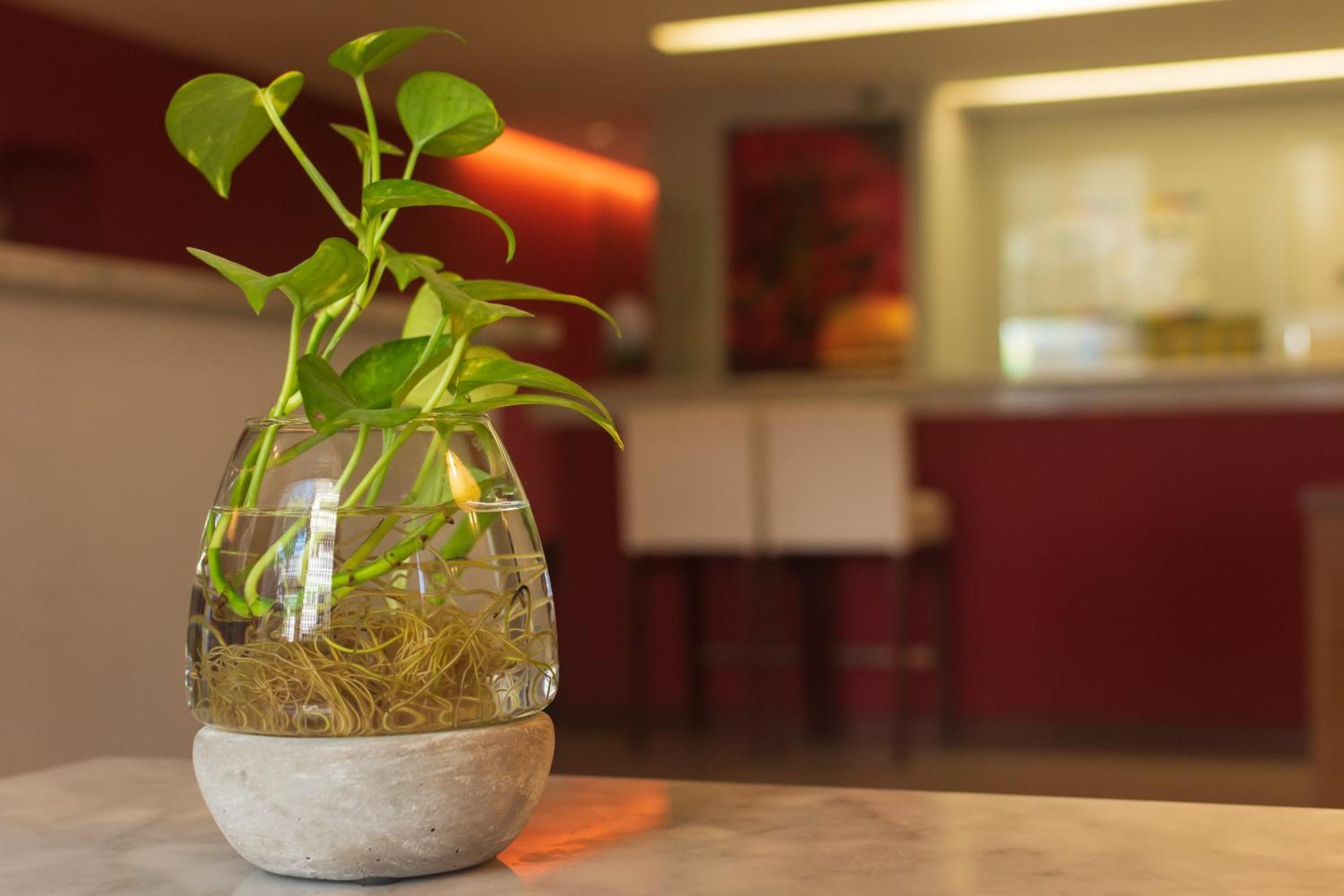 1412 Hotel Boutique Ροσάριο Εξωτερικό φωτογραφία